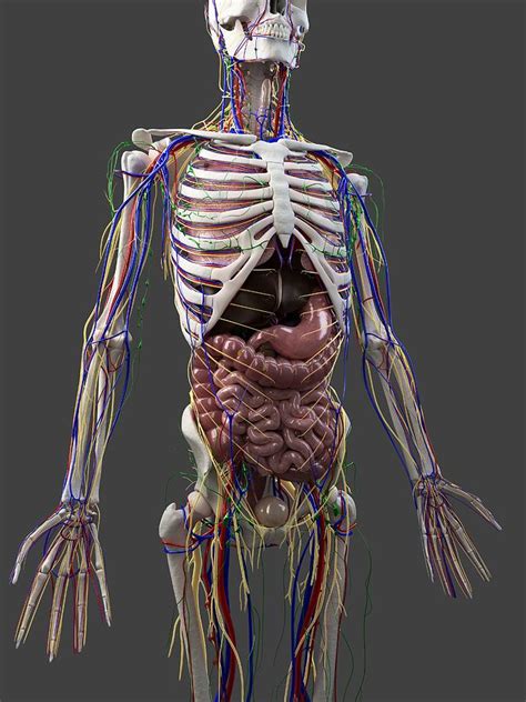 Image result for Anatomy of a Function in JavaScript