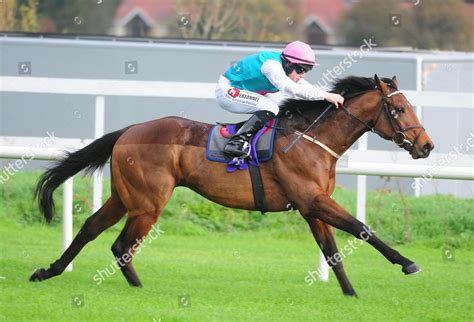 Leopardstown Flavius Leigh Roche Wins Conclusion Editorial Stock Photo ...