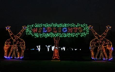 String Holiday Lights Like a Pro | Detroit Zoological Society Blog