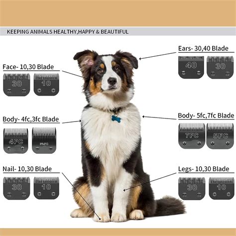 Groom Professional Dog Grooming Clipper Blade Length Chart, 42% OFF