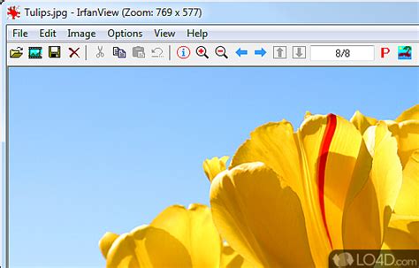 Image result for Is IrfanView Open Source
