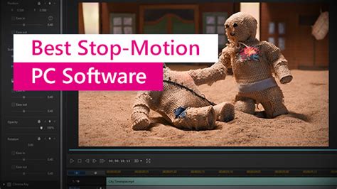 Using Stop Motion Pro On a PC 的图像结果