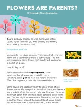 Parts of a Flower and Plant Reproduction Activities | Print + Digital