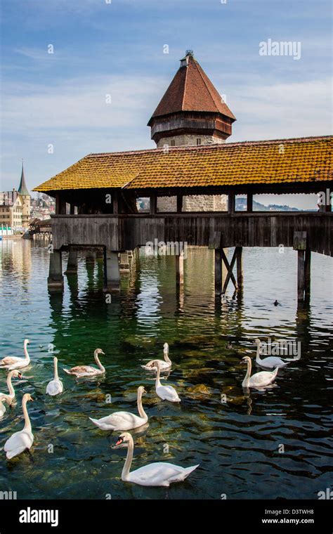 Image result for Chapel Bride