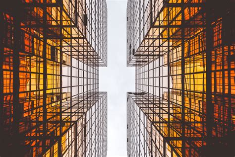 Case Studies — Strategy Innovation Group, LLC