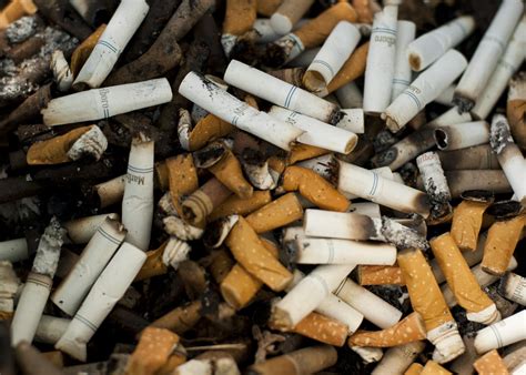 PuffSmoke on the Rez: Unveiling Canada’s Indigenous Tobacco Haven