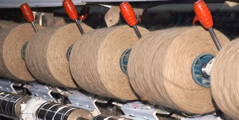 Image result for Process of Jute Making