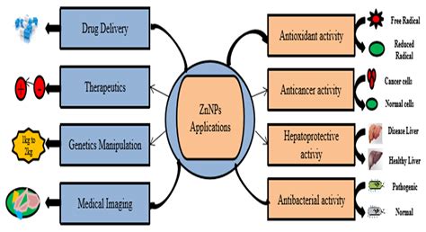 Mechanistic Approaches to the Application of Nano-Zinc in the Poultry and Biomedical Industries ...