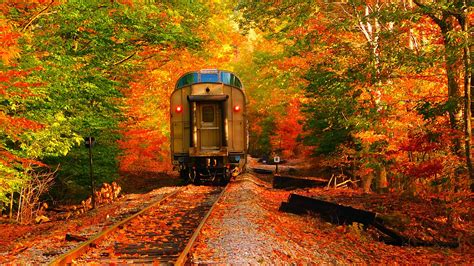 Best US Fall Foliage Train Rides for Scenic Autumn Views