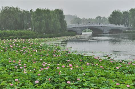 南海子，北京最大的湿地公园，无障碍做的怎么样？ - 知乎