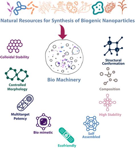 Nanoparticles Synthesis 的图像结果