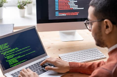 Local Web Developer 的图像结果