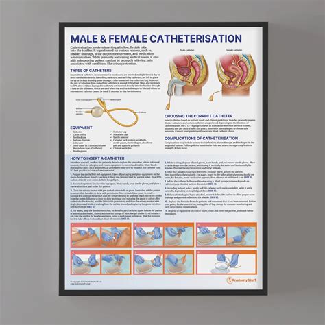Male and Female Catheterisation Chart | Clinical Skills Training Poster ...