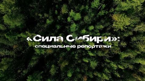 «Сила Сибири»: специальные репортажи - YouTube