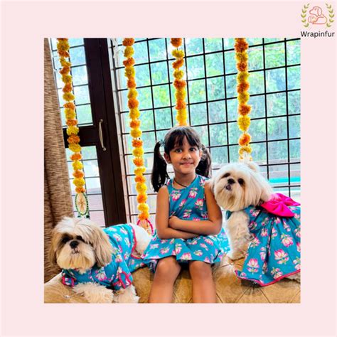 Blue Lotus Desi Collection – Wrapinfur