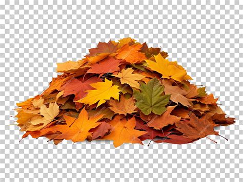 Pile of autumn leaves isolated on transparent background png psd ...