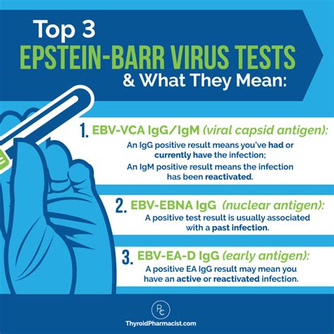 Epstein-Barr Virus and Hashimoto’s - Dr. Izabella Wentz