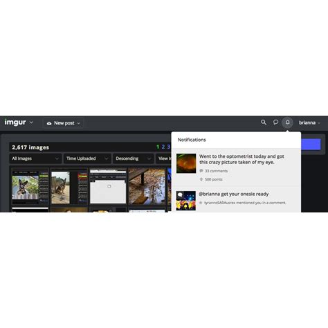 16 Best Imgur Alternatives - Reviews, Features, Pros & Cons - Alternative.me