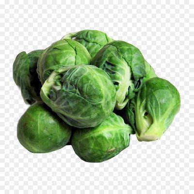 Brussel Sprout PNG Photo AV0R1U9P - Pngsource