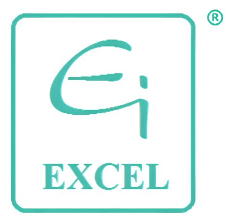 Image result for Excel System
