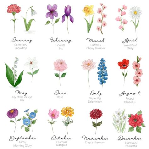 Birth Flowers By Month Chart at Anthony Soto blog