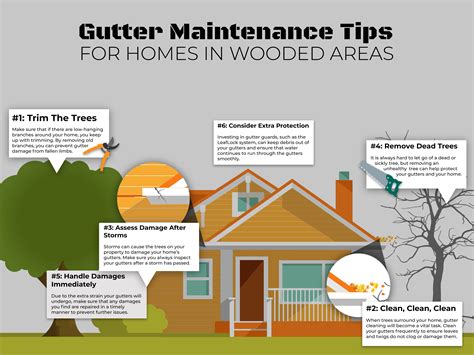 Image result for Gutter Maintenance Tips