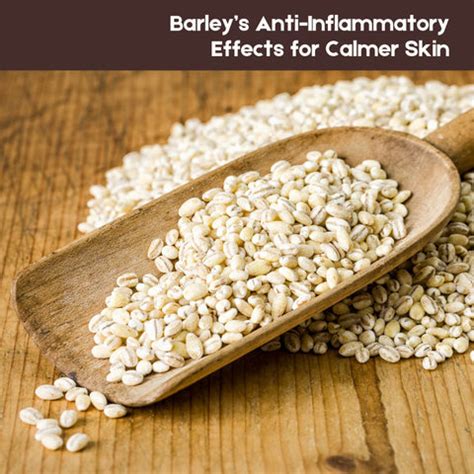Barley in Skincare: The Ancient Secret to Modern Skin Health | Clinikally