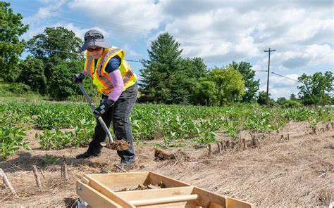 Archaeology Field School | Towson University