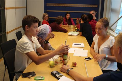 Intize mentorskap i matematik i flera led - Stenastiftelsen