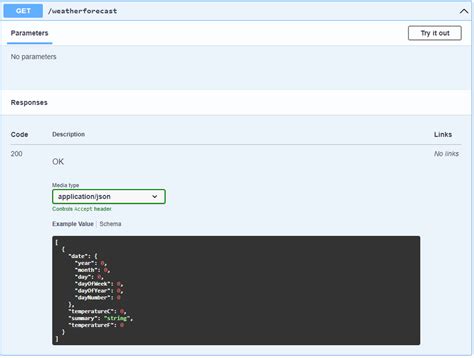 Example Asp.net Core Project Using API 的图像结果