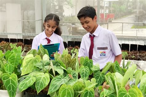 Image result for IB Middle Years Programme