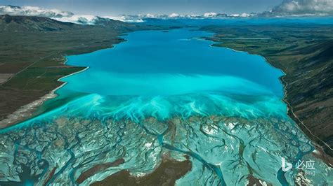 Https CN Bing Images 的图像结果