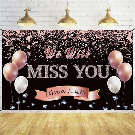 Buy Trgowaul Retirement Farewell Party Decorations,Rose Gold We Will ...