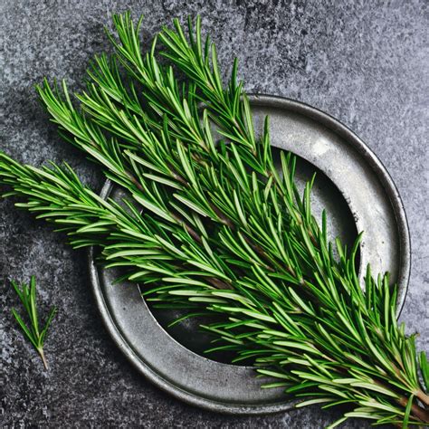 Rosemary: Spiritual Meaning - Awakening State