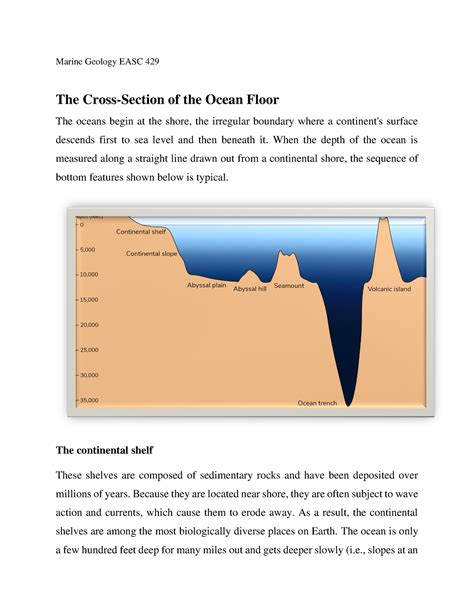 The cross section of the ocean floor - Marine Geology EASC 429 The ...