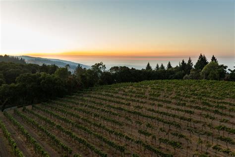 Thomas Fogarty Winery & Vineyards Discover Santa Cruz Mountains Wineries