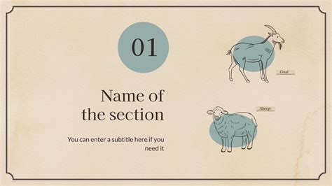 Taxonomy Explained 的图像结果