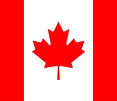 Pleated Cartridge Filter, Liquid Filter Bag & Air Purifier | About-us