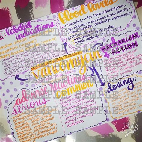 Vancomycin- Nursing Notes/ Concept Map- Medical Surgical Semester - Etsy