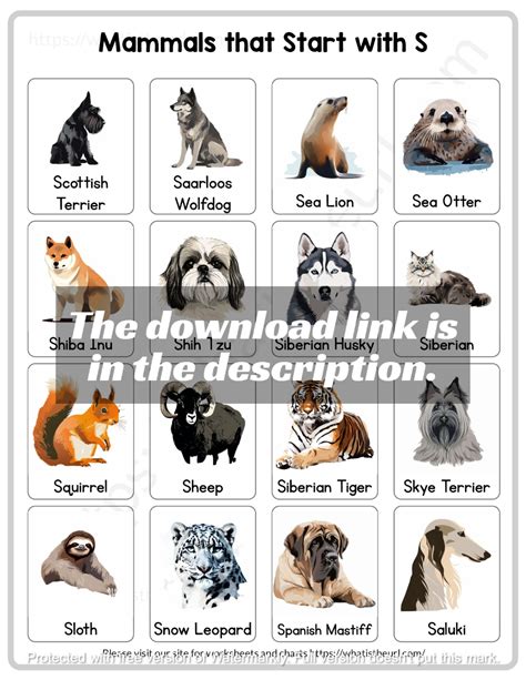 Animals Starting with 'S'