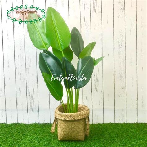 Jual Pohon Hias Daun Pisang Latex Anyaman Purun Handle Hiasan Sudut ...