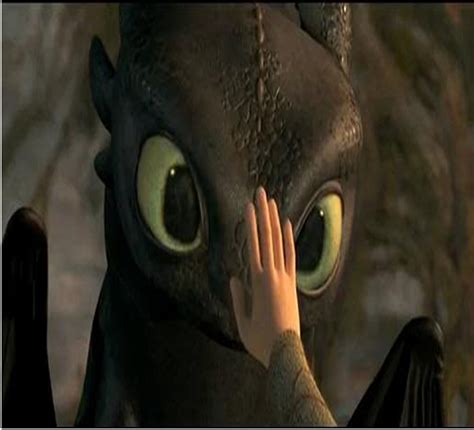 Image result for Toothless Dragon Clips