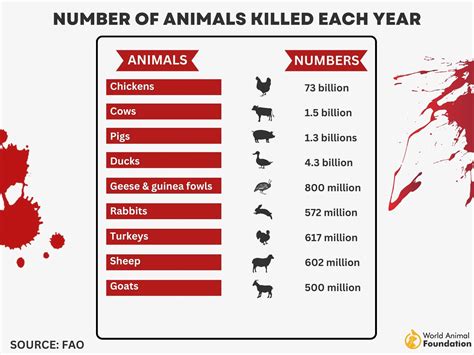 What Animal Has The Highest Kill Rate at Otto Atkinson blog