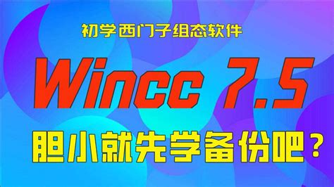 WinCC 7.5 Tutorial 的图像结果