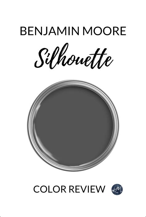 Benjamin Moore Color Of The Year 2026 Bedroom Review - Bedroom Paint ...