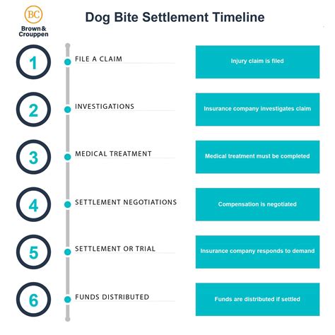 Master How To Negotiate A Dog Bite Settlement Today - mtncurdog