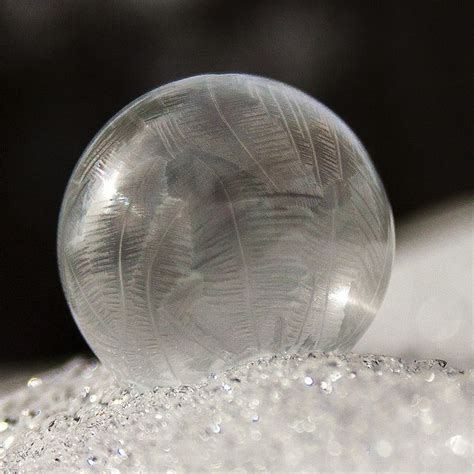 Cold Weather Experiments 的图像结果