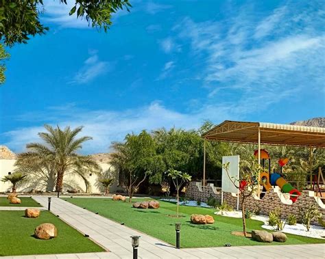 WENJOY.AE (2026) All You Need to Know BEFORE You Go (with Photos ...