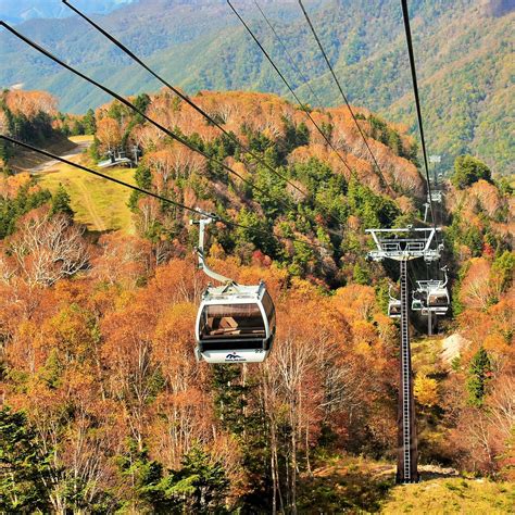 NIKKO MT. SHIRANE ROPEWAY - All You Need to Know BEFORE You Go 2026 ...