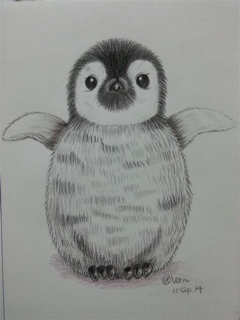 Cute Simple Animal Drawings - Drawing Tips Guide